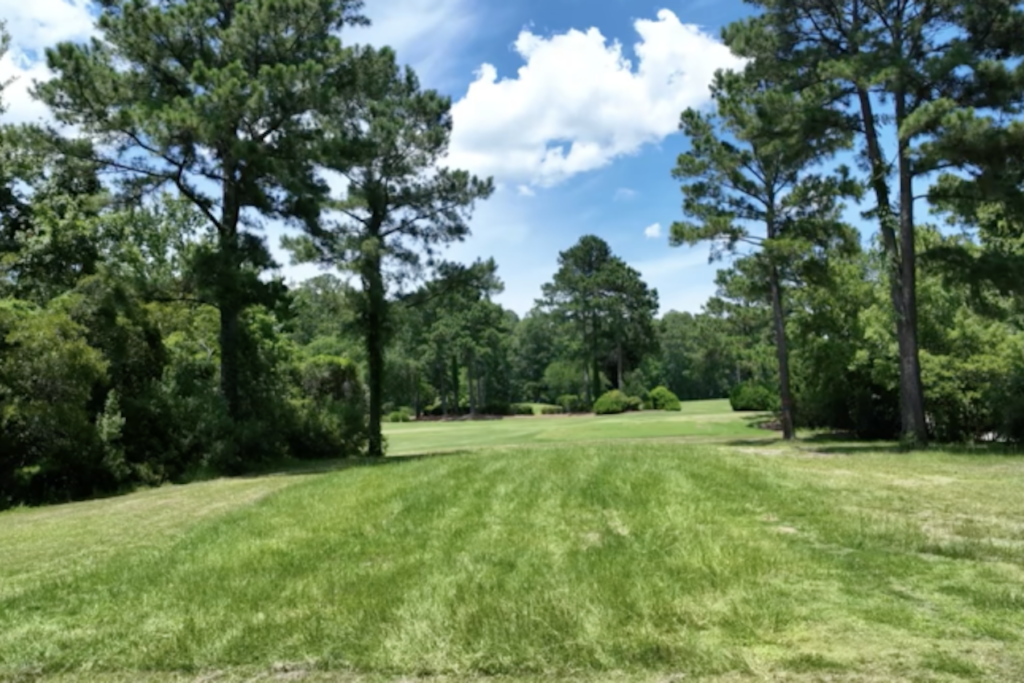 Summer Starts Here: Your Dream Yard Awaits