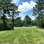 Summer Starts Here: Your Dream Yard Awaits